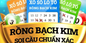 Soi cầu rồng bạch kim - Phương pháp dự đoán cầu lô khoa học  